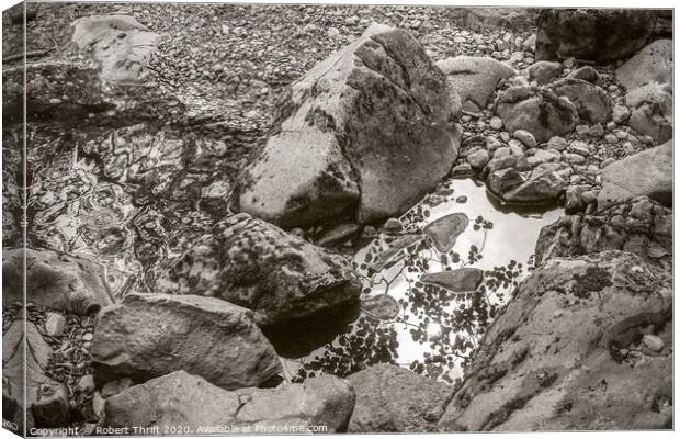 Rockpool at Aira Force Canvas Print by Robert Thrift