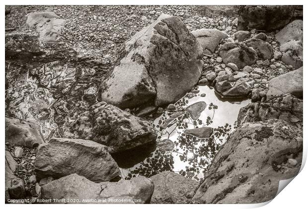 Rockpool at Aira Force Print by Robert Thrift