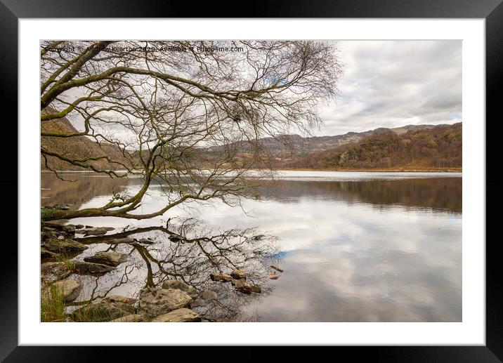 Autumn at Llyn Dinas in Snowdonia Framed Mounted Print by Andrew Kearton
