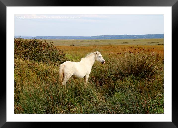 Grazing the Marsh Framed Mounted Print by Jane Emery