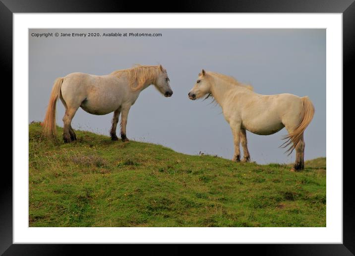 A couple of horses standing on top of a lush green Framed Mounted Print by Jane Emery