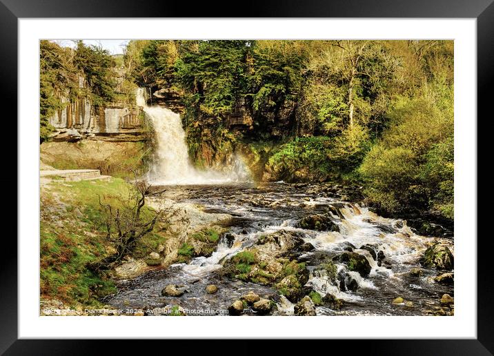 Thornton Force Waterfall Ingleton Yorkshire Dales Framed Mounted Print by Diana Mower