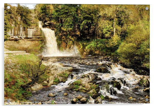 Thornton Force Waterfall Ingleton Yorkshire Dales Acrylic by Diana Mower