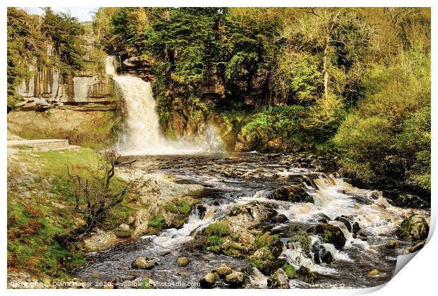 Thornton Force Waterfall Ingleton Yorkshire Dales Print by Diana Mower