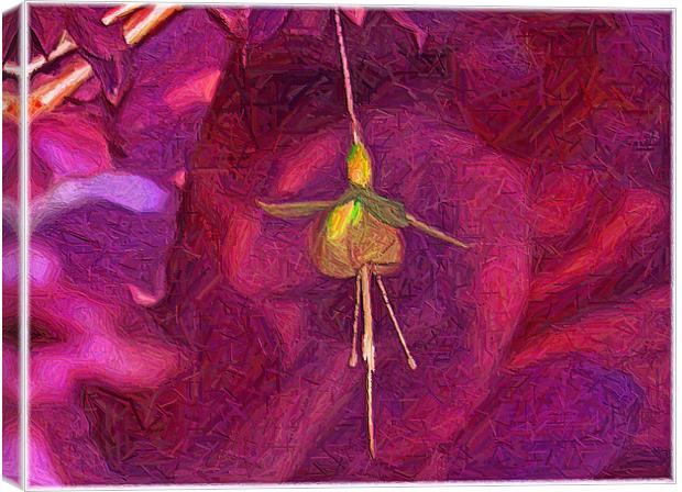 Fuchsia Art. Canvas Print by paulette hurley
