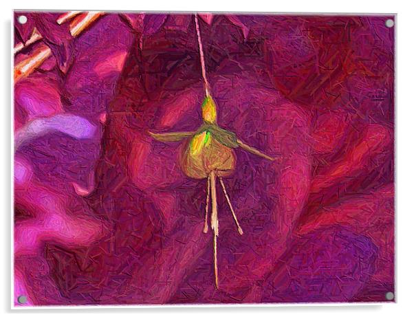Fuchsia Art. Acrylic by paulette hurley