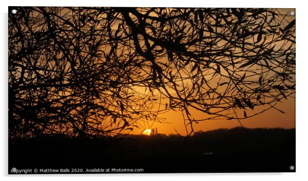 Sunsetting behind A tree Acrylic by Matthew Balls