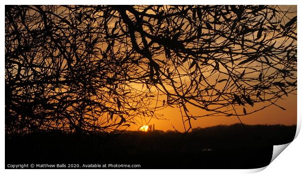 Sunsetting behind A tree Print by Matthew Balls