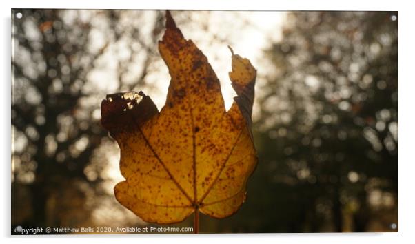 A close up of Autumn Acrylic by Matthew Balls