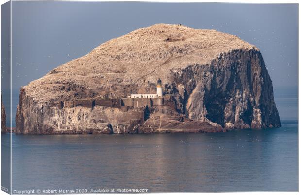 The Bass Rock  Canvas Print by Robert Murray