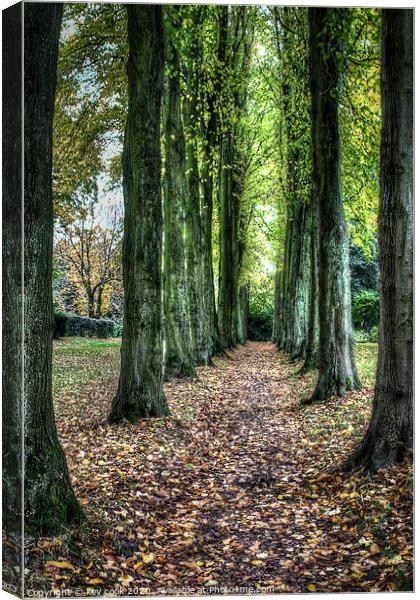 wentworth walk Canvas Print by kevin cook