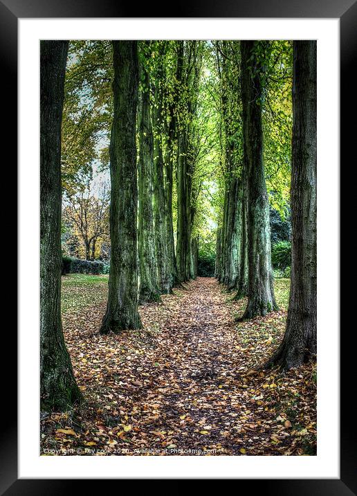 wentworth walk Framed Mounted Print by kevin cook