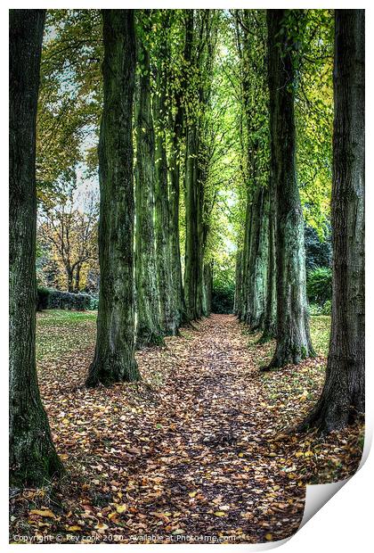 wentworth walk Print by kevin cook