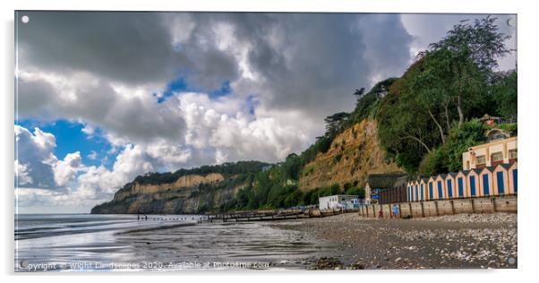 Shanklin Beach Acrylic by Wight Landscapes