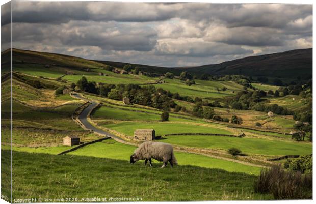 Thwaite view Canvas Print by kevin cook