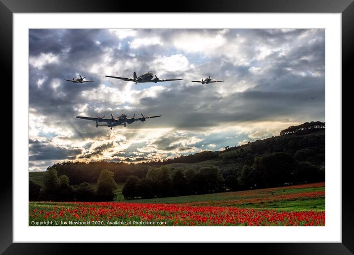 Battle of Britain memorial flight over Poppy Field Framed Mounted Print by Joy Newbould
