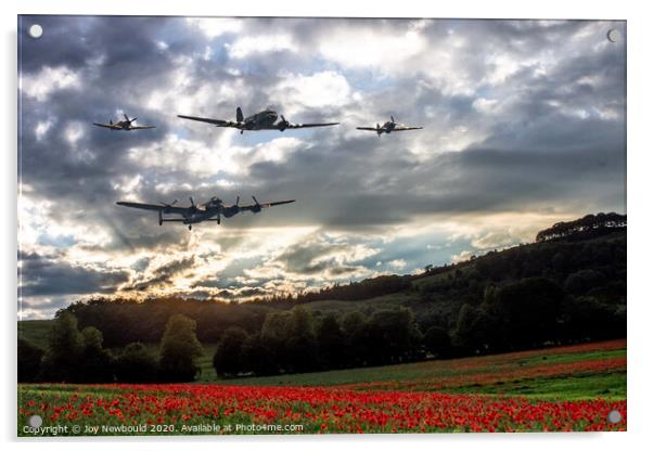 Battle of Britain memorial flight over Poppy Field Acrylic by Joy Newbould