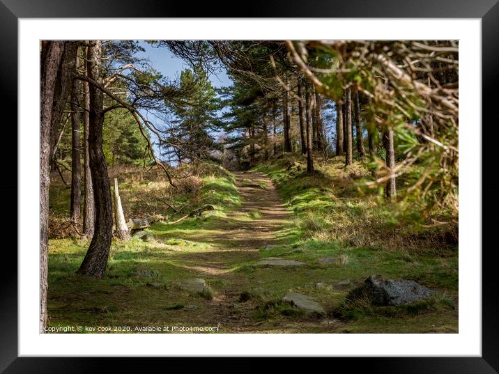 Evergreen path Framed Mounted Print by kevin cook