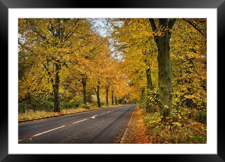 Rivelin Valley Road Framed Mounted Print by Darren Galpin