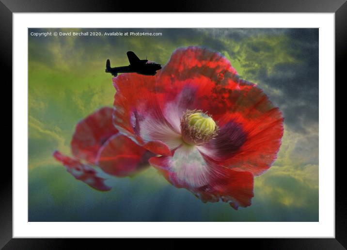 Lancaster Bomber and Poppies. Framed Mounted Print by David Birchall