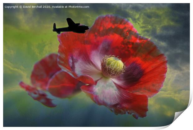 Lancaster Bomber and Poppies. Print by David Birchall