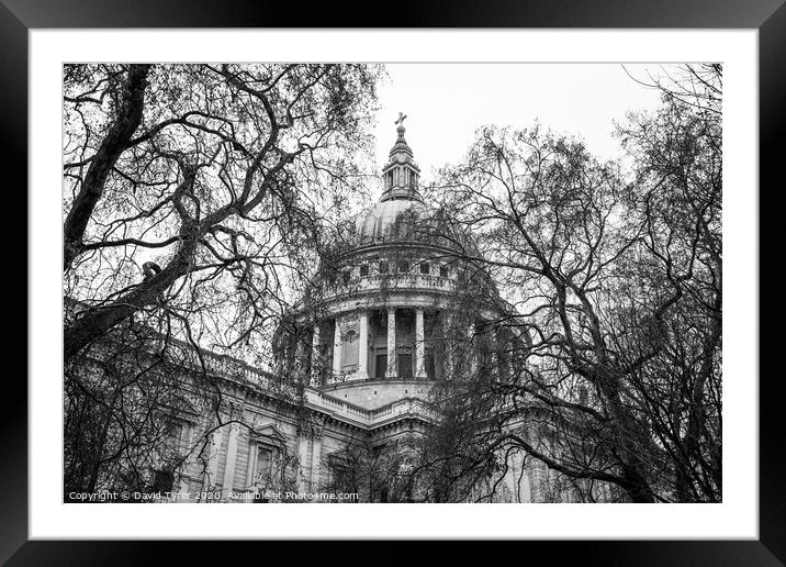 Saint Paul's Cathedral, London Framed Mounted Print by David Tyrer