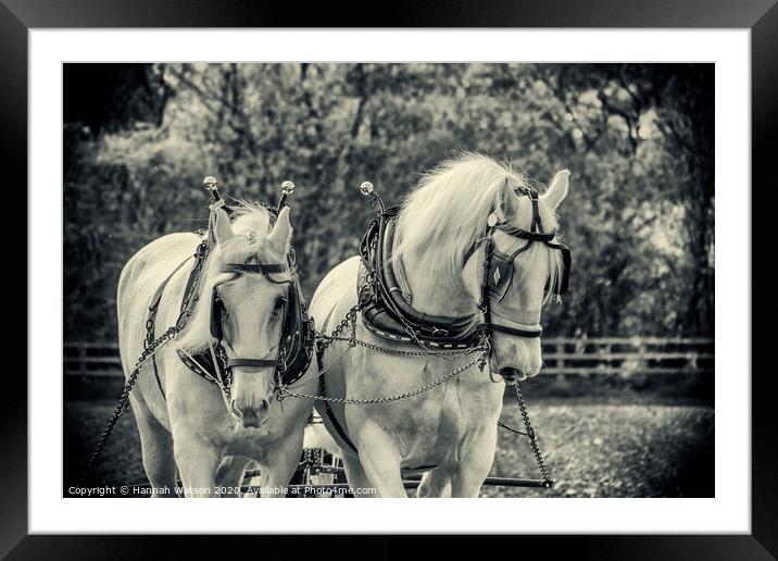 Plough Horses 2 Framed Mounted Print by Hannah Watson