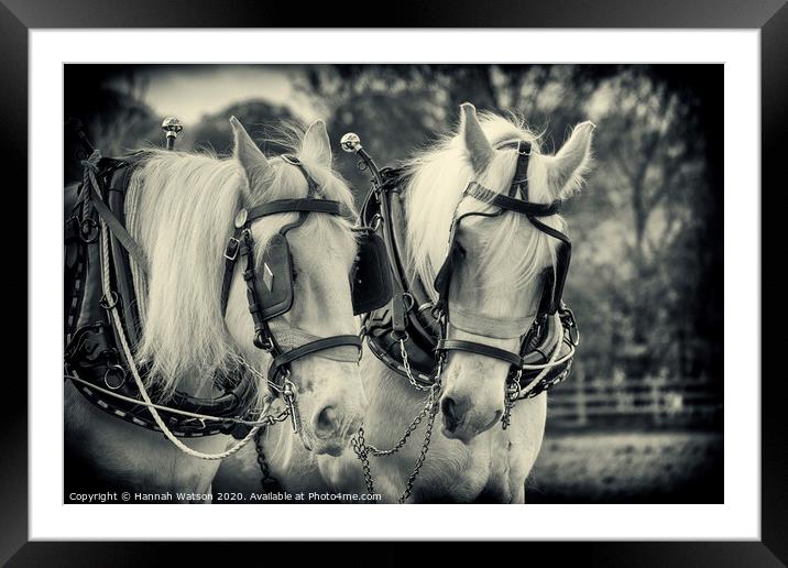 Plough Horses 3 Framed Mounted Print by Hannah Watson