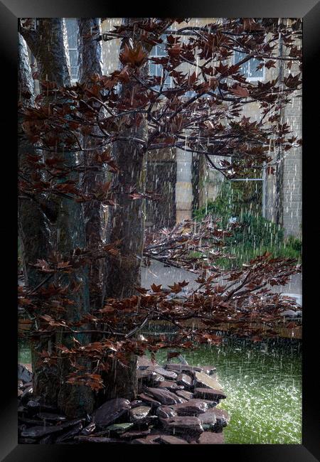 Autumn Apparition Framed Print by Debbie Payne