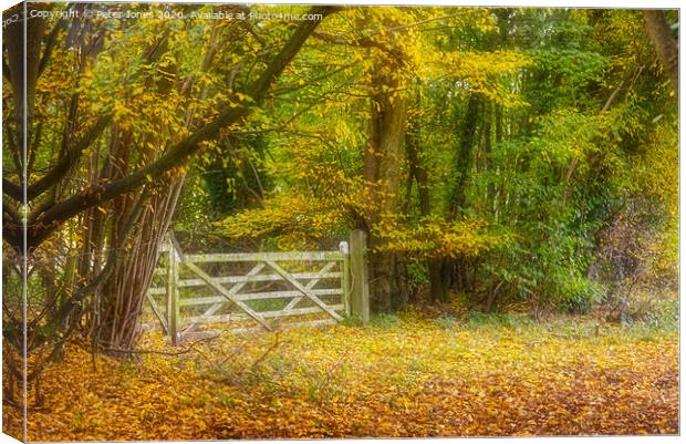 Early Autumn colours  Canvas Print by Peter Jones
