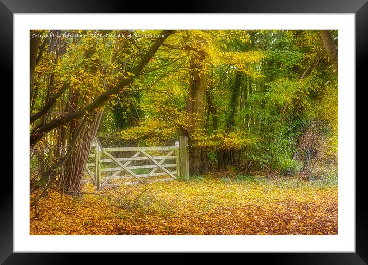 Early Autumn colours  Framed Mounted Print by Peter Jones