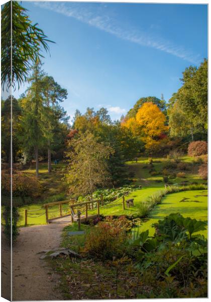 Nature's Trail Canvas Print by Debbie Payne