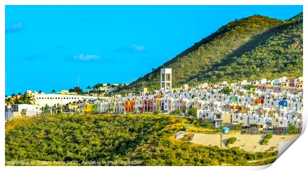 Mexican Village Cardon Cactus Sonoran Desert  Baja Los Cabos Mexico Print by William Perry