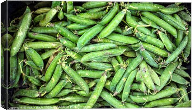 Fresh green pea pods Canvas Print by Frank Bach