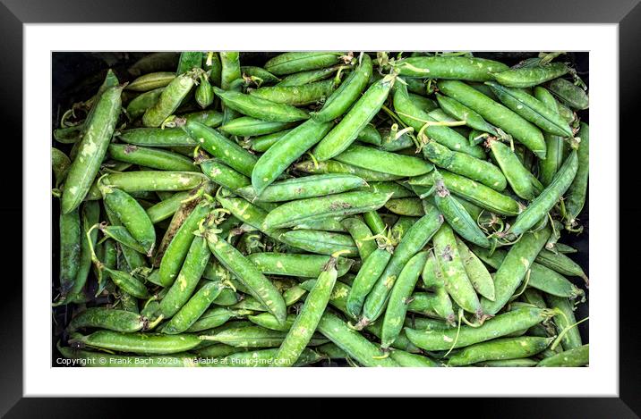 Fresh green pea pods Framed Mounted Print by Frank Bach