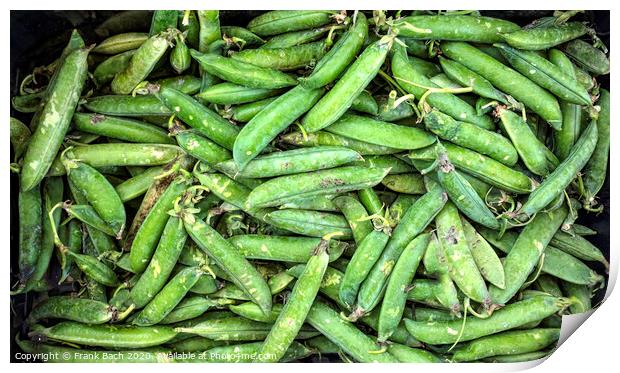 Fresh green pea pods Print by Frank Bach