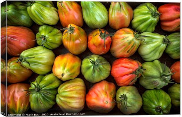 Colorful Juicy Ripe Heirloom Tomatoes Canvas Print by Frank Bach