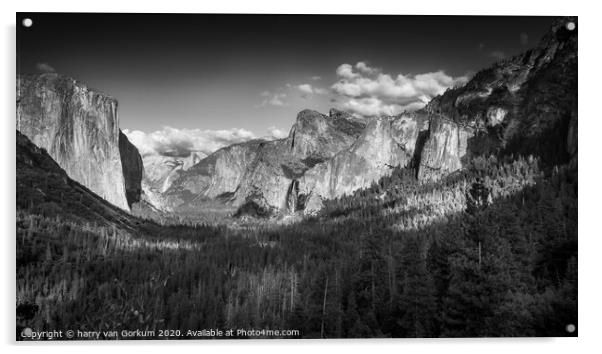Yosemite Valley in black and white Acrylic by harry van Gorkum
