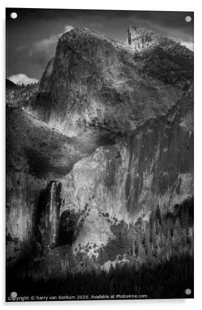 Bridalveil Falls Yosemite in black and white Acrylic by harry van Gorkum