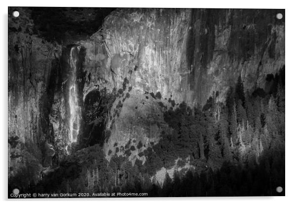 Bridalveil Fall, Yosemite in black and white Acrylic by harry van Gorkum