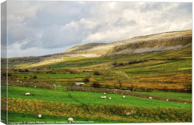 Yorkshire Dales Landscape view Canvas Print by Diana Mower
