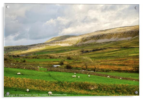 Yorkshire Dales Landscape view Acrylic by Diana Mower