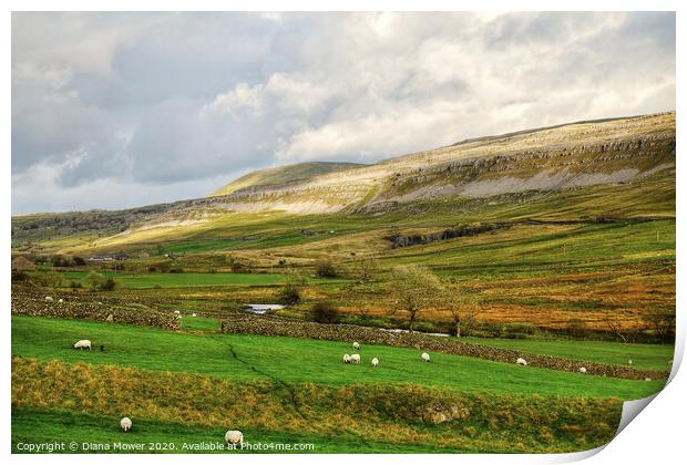 Yorkshire Dales Landscape view Print by Diana Mower
