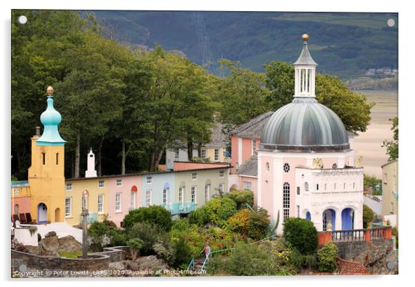 Portmeirion - View of the Dome Acrylic by Peter Lovatt  LRPS