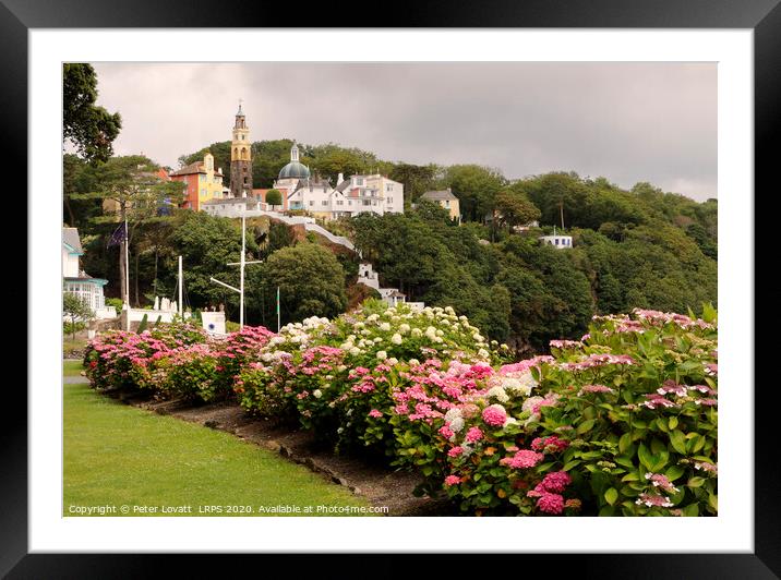 Portmeirion Village View Framed Mounted Print by Peter Lovatt  LRPS