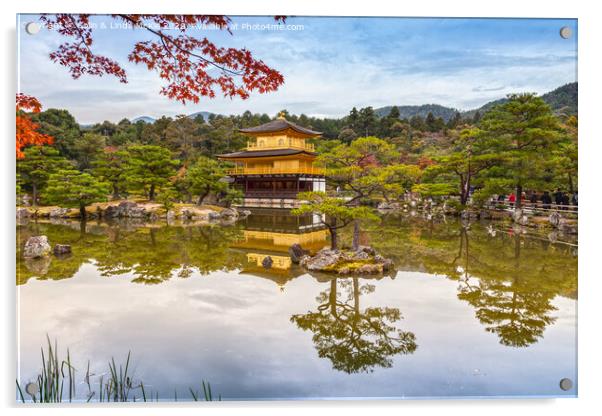 Golden Pavilion, Kyoto, Japan Acrylic by Colin & Linda McKie