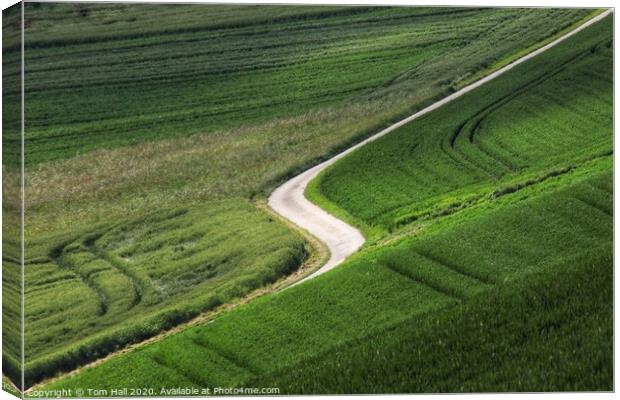 The Winding Road Canvas Print by Tom Hall