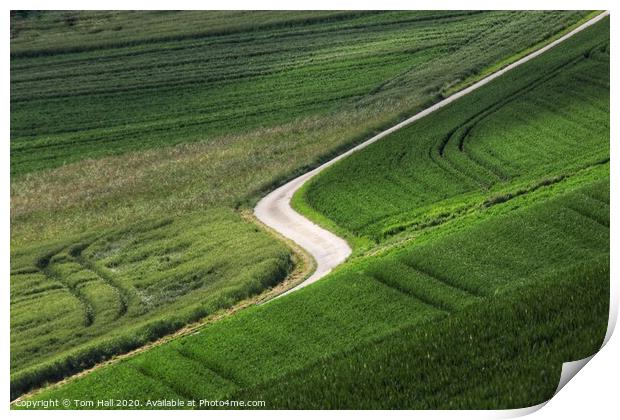 The Winding Road Print by Tom Hall