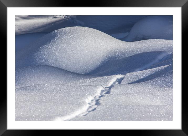 snow shadow Framed Mounted Print by Thomas Schaeffer