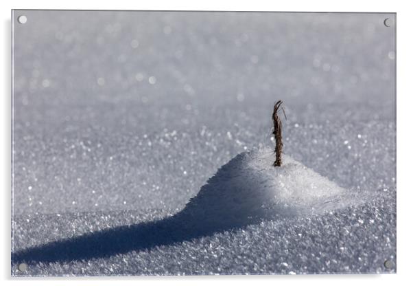 snow shadow austria Acrylic by Thomas Schaeffer